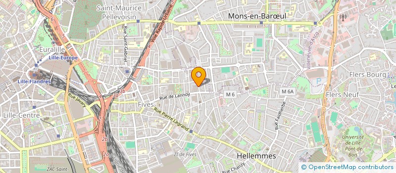 localisation de l'entreprise ASS CULTUELLE ORTHODOXE RUSSE à LILLE