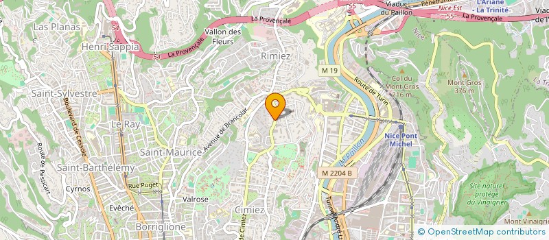 localisation de l'entreprise ASS  CULTURELLE D'ARTISTES LYRIQUES  NICE