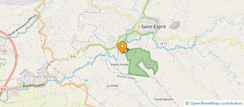 localisation de l'entreprise ASS DE  PROMOT DE LA SANTE PUBLIQ PAR LA FORMAT ET L EDUCAT THERAPEUT  SAINT-ESPRIT