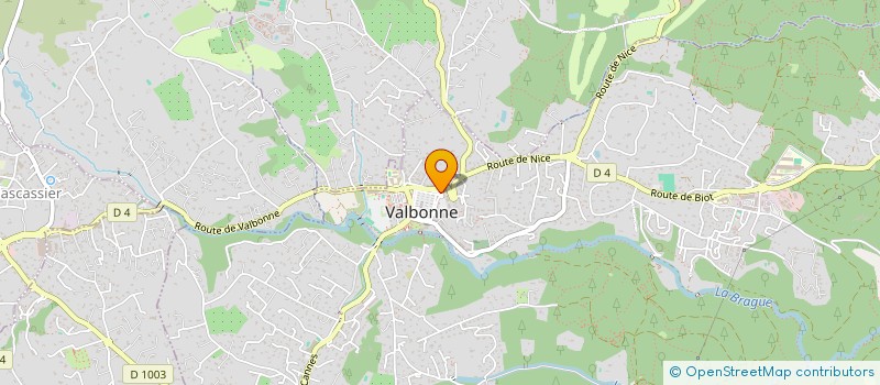 localisation de l'entreprise ASS DE TRANSPORTS SANITAIRES DEPARTEMENTALE DE REPONSE A L'URGENCE POUR LES ALPES MARITIMES à VALBONNE