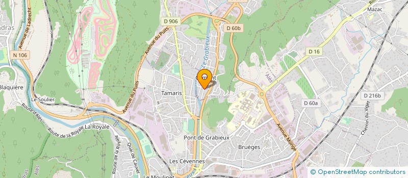 localisation de l'entreprise ASS DEFENSE ENVIRON ALENT VALLON FONTANES  SAINT-MARTIN-DE-VALGALGUES