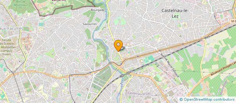 localisation de l'entreprise ASS DEFI INFORMATIQUE à CASTELNAU-LE-LEZ