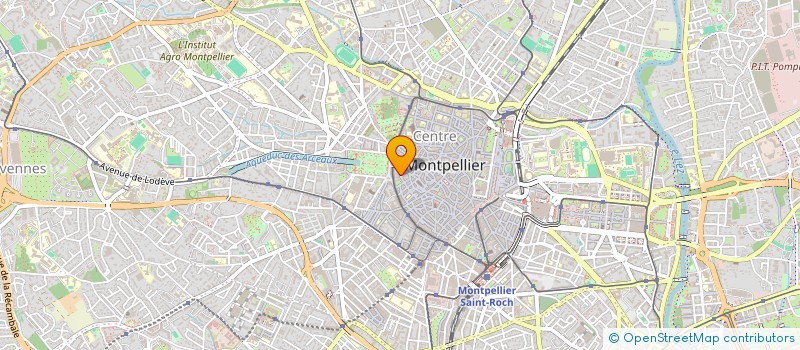 localisation de l'entreprise ASS DEP DES COMBATTANTS DE L HERAULT  MONTPELLIER