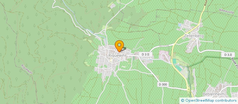 localisation de l'entreprise ASS DES AMIS DE HANSI  RIQUEWIHR