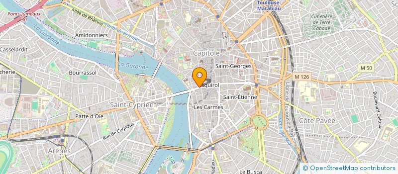 localisation de l'entreprise ASS DES AMIS DE L'HOTEL D'ASSEZAT  TOULOUSE