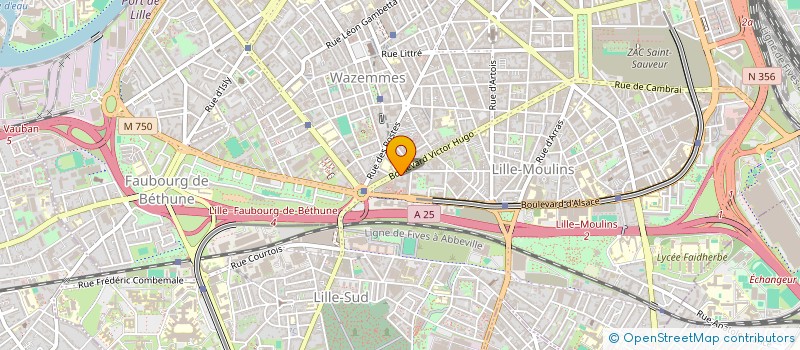 localisation de l'entreprise ASS DES ANOMALIES CONGENITALES à LILLE