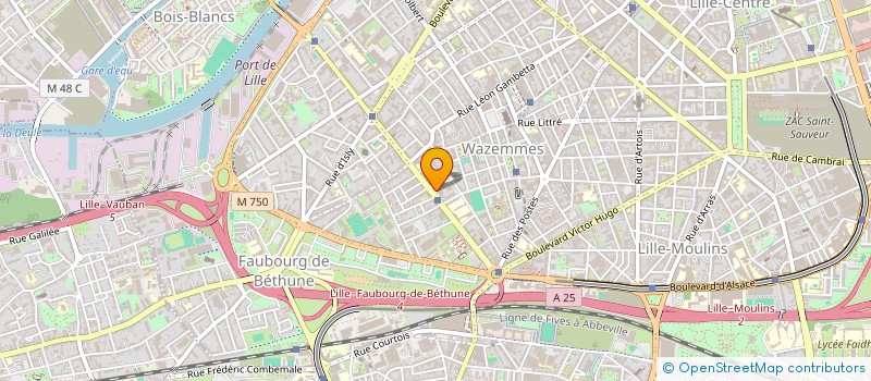 localisation de l'entreprise ASS DES CONGOLAIS DE BRAZZAVILLE DU NORD-PICARDIE  RONCHIN