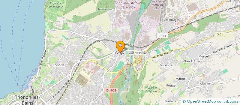 localisation de l'entreprise ASS DES JEUNES DE VONGY à THONON-LES-BAINS