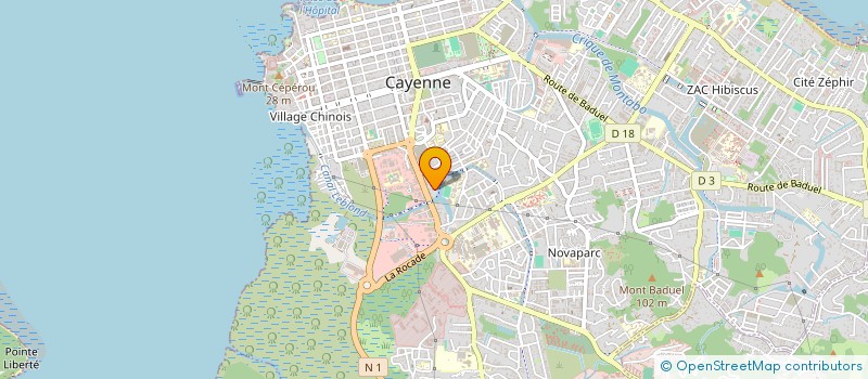 localisation de l'entreprise ASS DES PARENTS D'ELEVES ECOLE COLIBRIS  CAYENNE