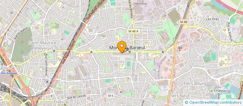 localisation de l'entreprise ASS DESTIN SENSIBLE  MONS-EN-BARUL