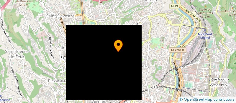 localisation de l'entreprise ASS DEV RECH PHARMA PHYSIO NEURO CARDIO à NICE