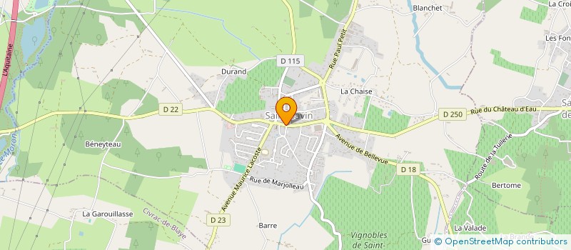 localisation de l'entreprise ASS DEVELOP ECONOMIQUE SAINT SAVIN  SAINT-SAVIN