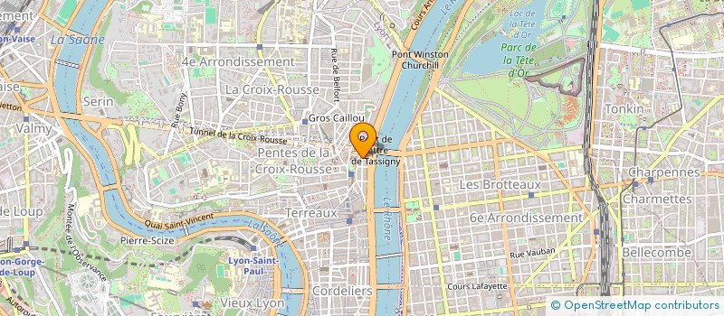 localisation de l'entreprise ASS DREAM TECH PRODUCTIONS à LYON