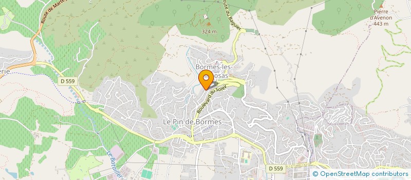 localisation de l'entreprise ASS ECOLE DE SPORT NAUTIQUE  BORMES-LES-MIMOSAS