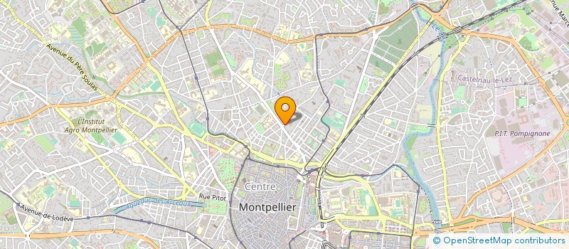 localisation de l'entreprise ASS FEDER HISTORIQUE LANGUEDOC MEDIT à MONTPELLIER