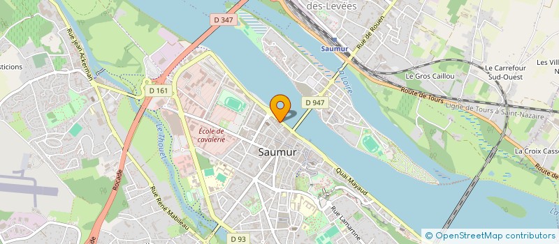 localisation de l'entreprise ASS FESTIV FRANCE LUMIERE POUR L EUROPE  SAUMUR
