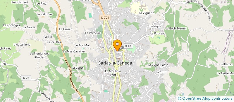 localisation de l'entreprise ASS FINAN ELEC JJ DE PERETTI REGIONALE98 à SARLAT-LA-CANEDA