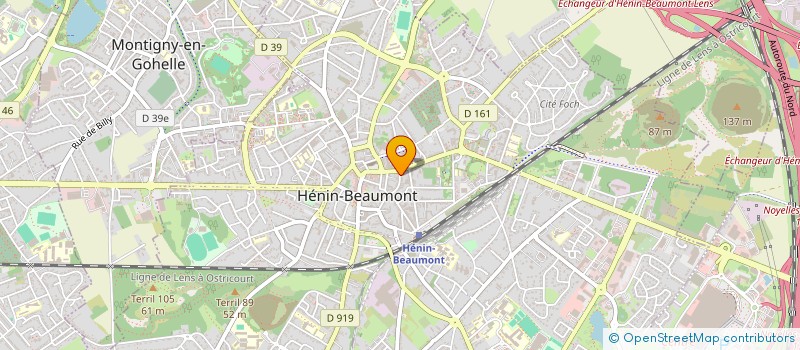 localisation de l'entreprise ASS FINANCEMENT ELECTORALE MARINE LE PEN EUROPEENNES 2009  HENIN-BEAUMONT