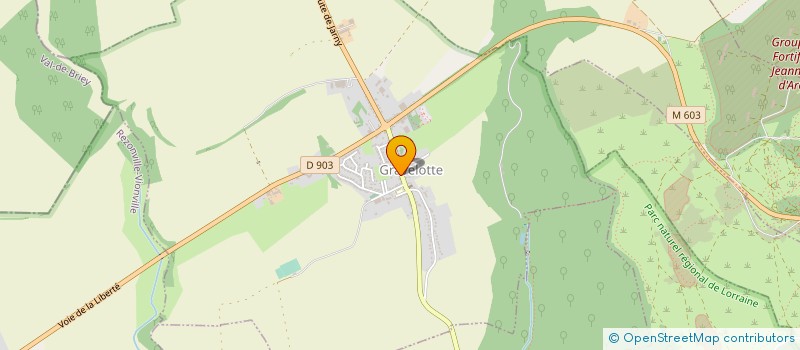 localisation de l'entreprise ASS FONCIERE REMEMBREMENT DE GRAVELOTE à GRAVELOTTE