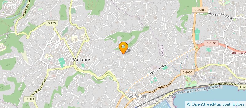 localisation de l'entreprise ASS FOOTBALL CLUB DE GOLFE JUAN  VALLAURIS