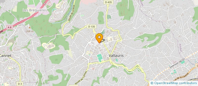 localisation de l'entreprise ASS FORMATION ET INSERTION ECONOMIQUE à VALLAURIS