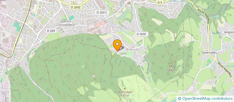 localisation de l'entreprise ASS FORMATION PEDIATRIQUE GRENOBLE  BRESSON