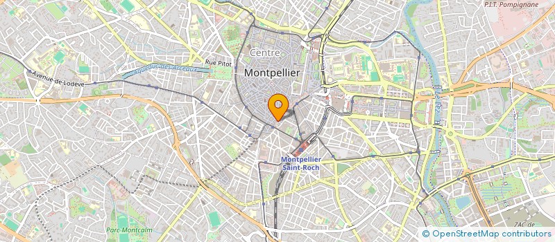 localisation de l'entreprise ASS FRANCAISE ENFANTS DISPARUS ENLEVES à MONTPELLIER
