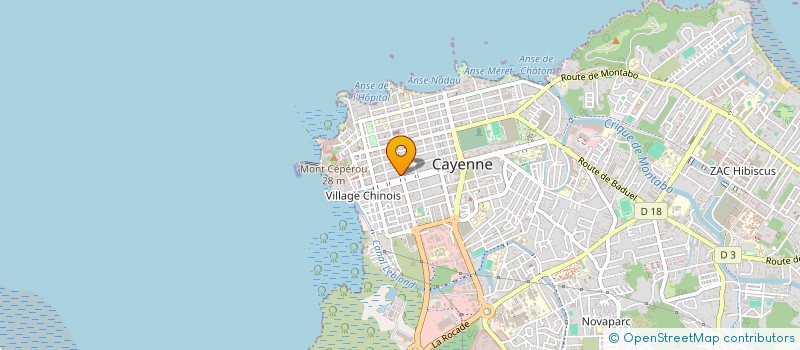 localisation de l'entreprise ASS GEOMETRES EXPERTS TOPOGRAPHES GUYANE  CAYENNE