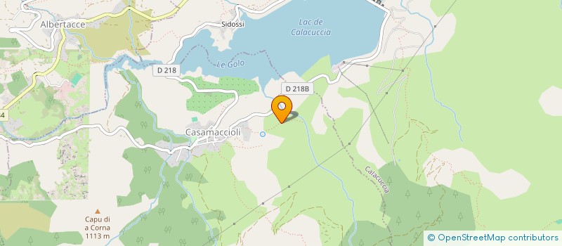 localisation de l'entreprise ASS GESTION TERRITOIRES CHASSE DU NIOLU à CASAMACCIOLI