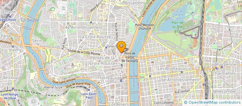 localisation de l'entreprise ASS  GONE'S STORY à LYON