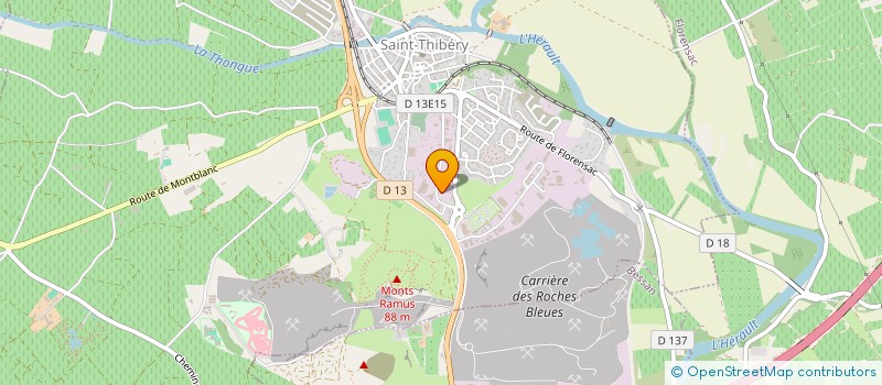 localisation de l'entreprise ASS GOUT DU SUD  SAINT-THIBERY