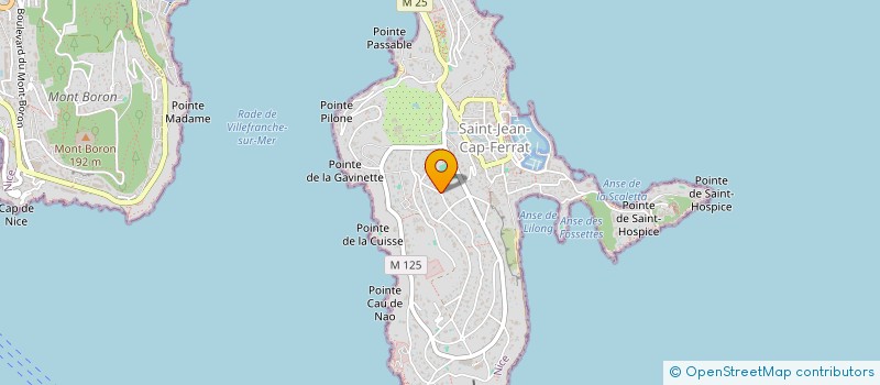 localisation de l'entreprise ASS GROUP  SAINT-JEAN-CAP-FERRAT