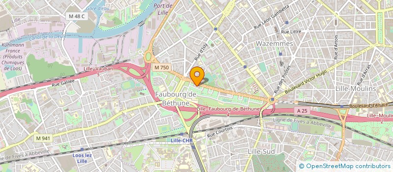 localisation de l'entreprise ASS HALTE GARDERIE DU FG DE BETHUNE à LILLE