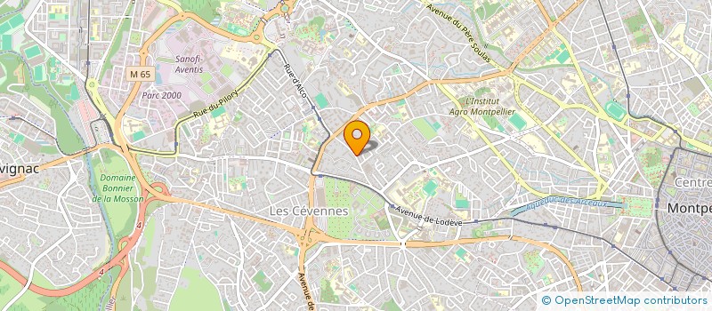 localisation de l'entreprise ASS ICONE à MONTPELLIER