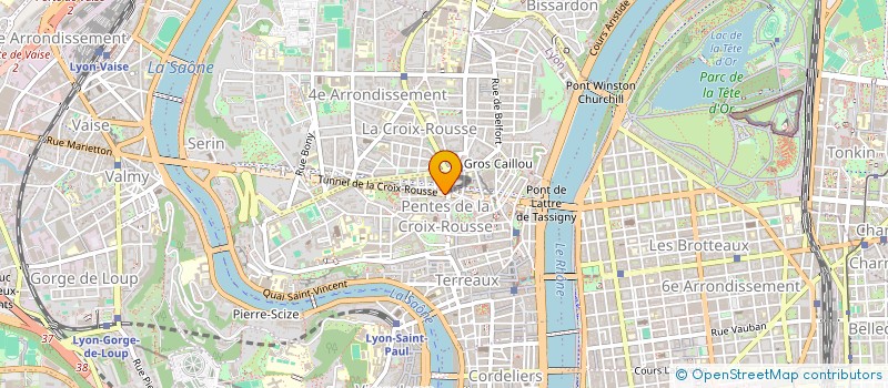 localisation de l'entreprise ASS IMMOB LYON ET MT D'OR à LYON