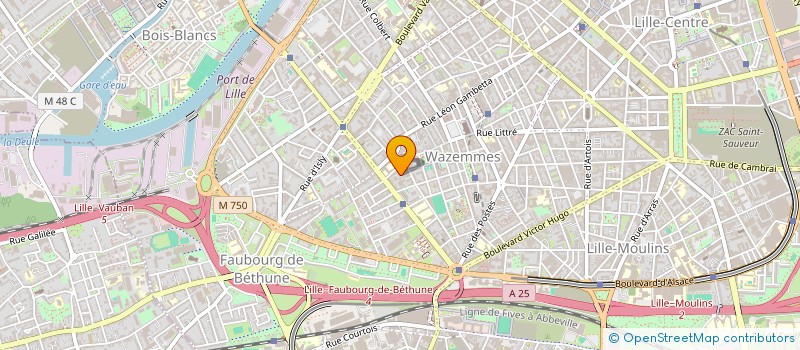 localisation de l'entreprise ASS IMMOBILIERE JEANNE D'ARC à LILLE