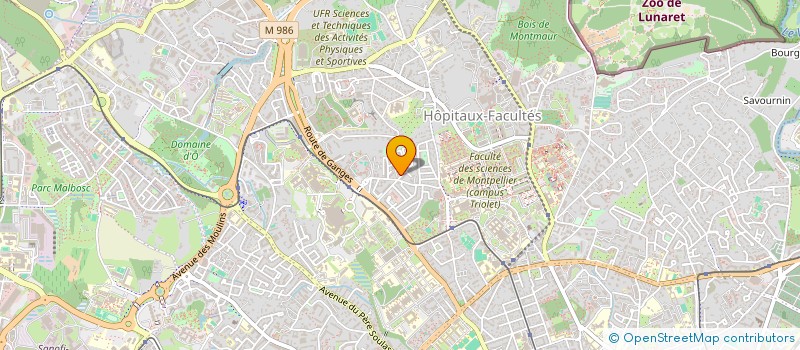 localisation de l'entreprise ASS INFORMATIQUE ET LANGUES VIVANTES  MONTPELLIER