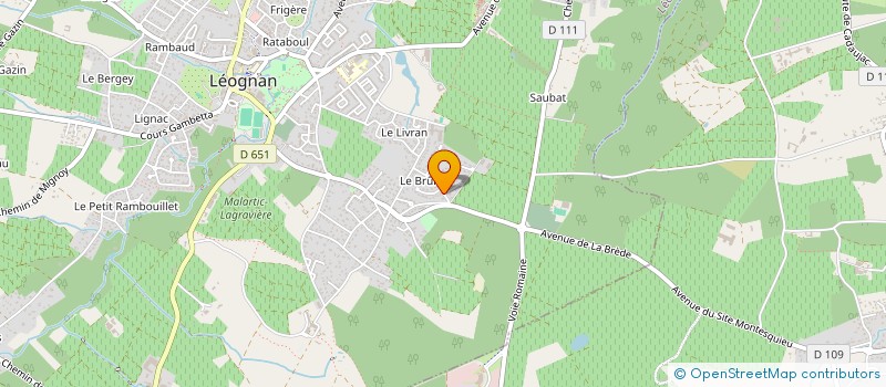 localisation de l'entreprise ASS INTERCOMMUNALE DE CHASSE AGREEE DES GRAVES  LEOGNAN