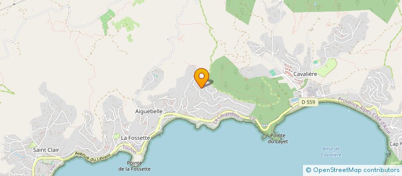 localisation de l'entreprise ASS JUDO CLUB DU LAVANDOU à LE LAVANDOU