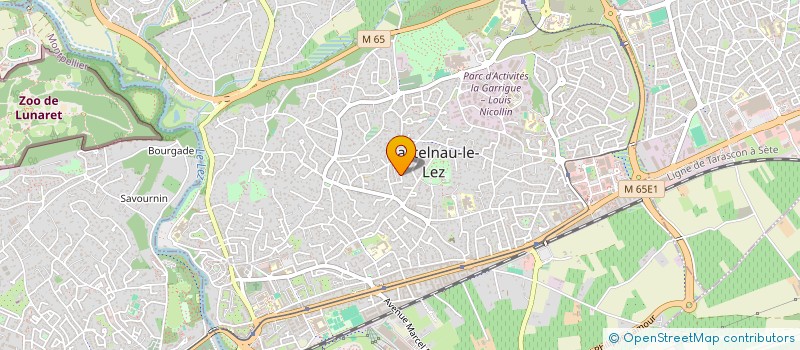 localisation de l'entreprise ASS KIHON GI BUDO KAI AIKI RYU  CASTELNAU-LE-LEZ