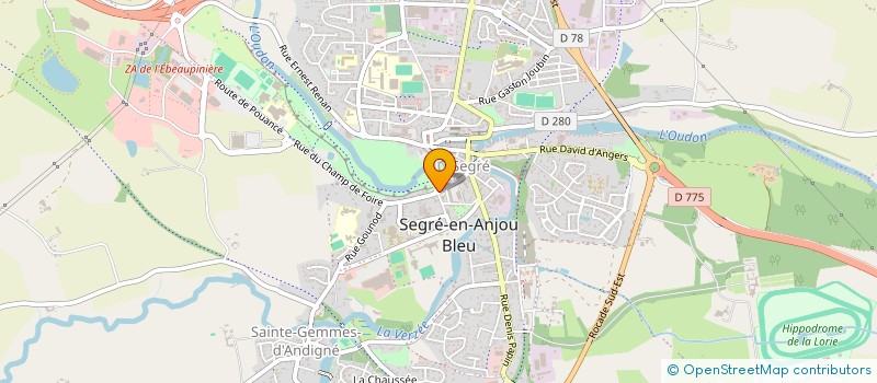 localisation de l'entreprise ASS L ARBRE VERT à SEGRE-EN-ANJOU BLEU