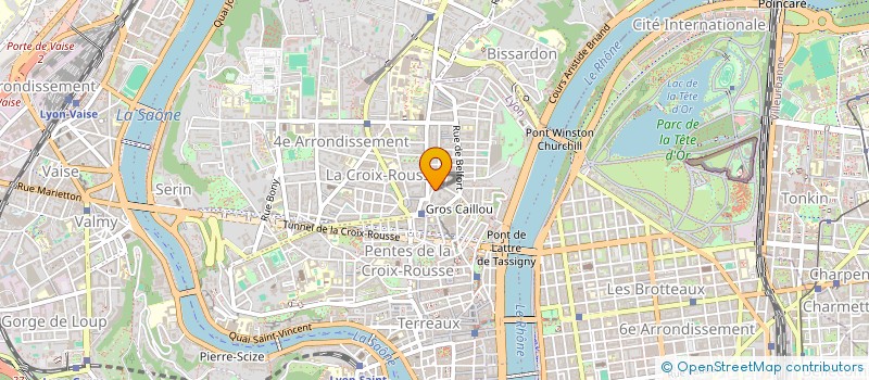 localisation de l'entreprise ASS LA BOULE COMBATTANTE DU PLATEAU à LYON