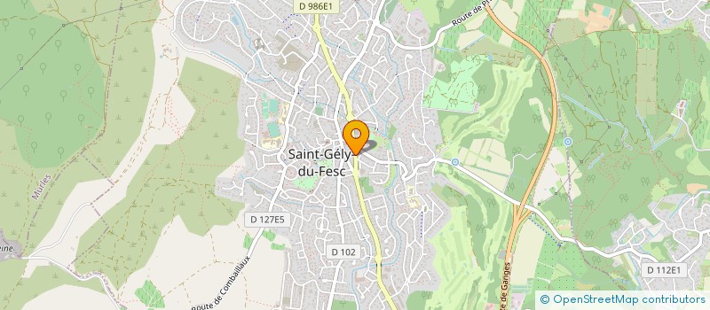 localisation de l'entreprise ASS LANG ETUDES STATISTIQUES ENTREPRISE  SAINT-GELY-DU-FESC