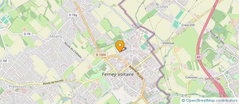 localisation de l'entreprise ASS LANGU ANGLAISE ENGLISH LANGUAGE PROG à FERNEY-VOLTAIRE
