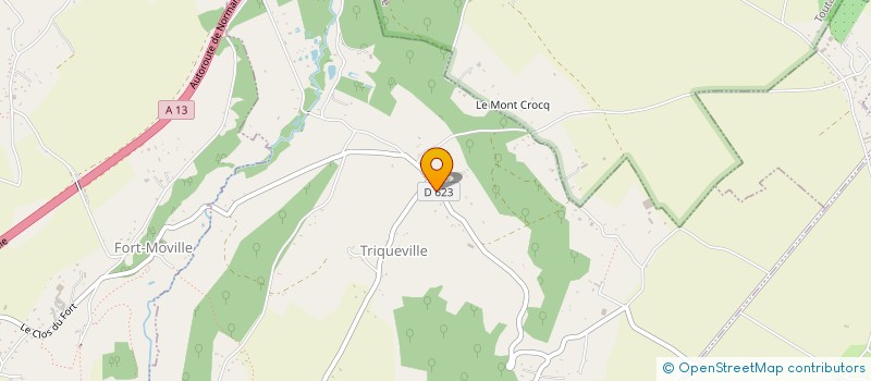 localisation de l'entreprise ASS LE MANOIR DE MES REVES  SAINT-MARDS-DE-BLACARVILLE