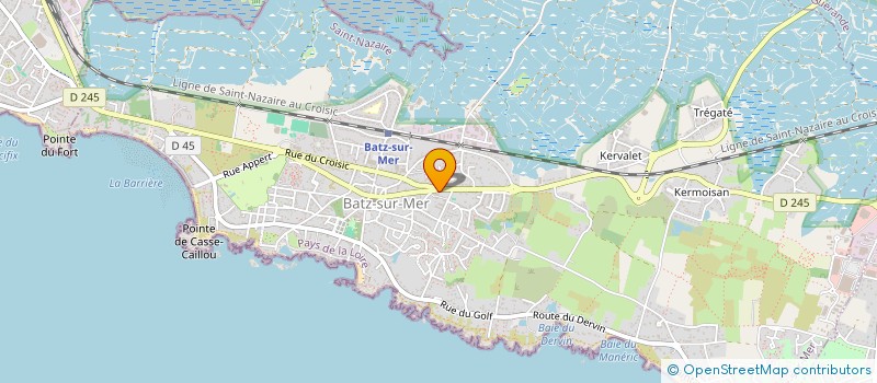 localisation de l'entreprise ASS LES AMIS DU CINEMA LE PALUDIER à BATZ-SUR-MER