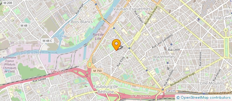 localisation de l'entreprise ASS LES ENFANTS DU MONDE à LILLE