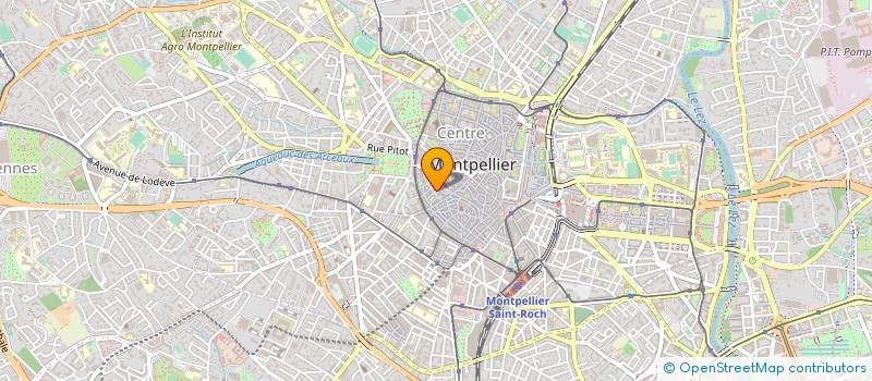 localisation de l'entreprise ASS LES FILMS DU LEVANT à MONTPELLIER