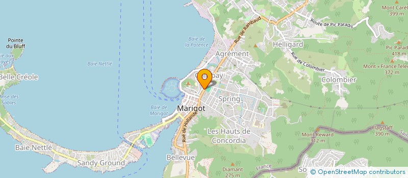 localisation de l'entreprise ASS LES GRENOUILLES SAUVAGES  SAINT MARTIN