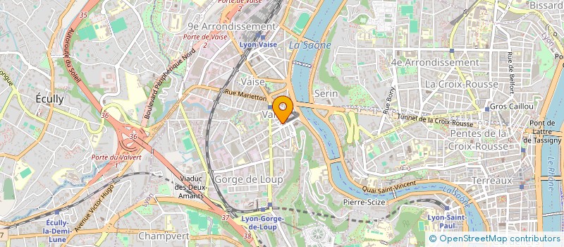 localisation de l'entreprise ASS LES IRREGULIERS DE L'ART  LYON